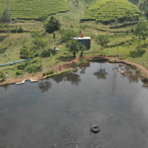 Image2