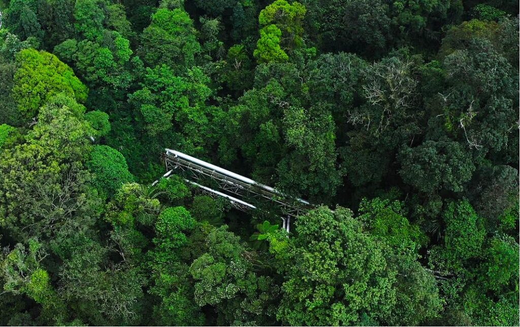 Star Energy Geothermal Group New Green Bonds has been listed in SGX